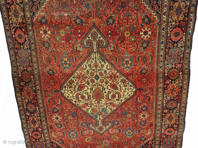 1890 Sarouk Farahan. Overall, very low sheer pile throughout rug with 2 -3 inch area showing some foundation ... see pic of 1 area. Rug has been cleaned and no areas have  ...