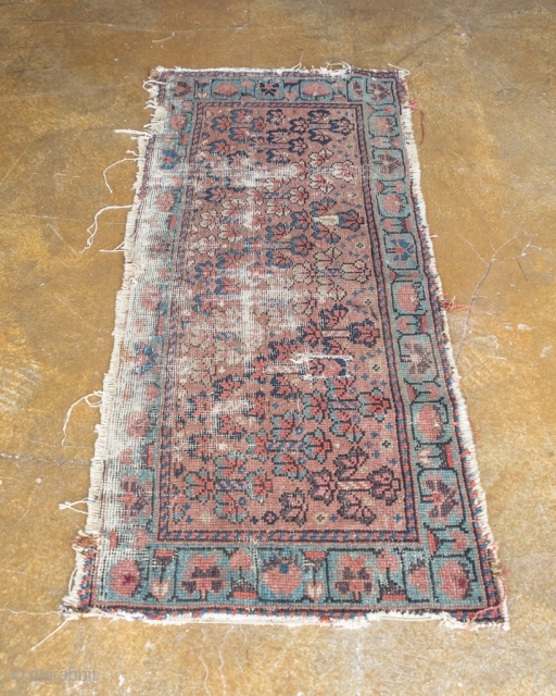 Antique Kurdish Juval

Woven Ca. 1870, Northwest Persia. This rug has a Bakhshayesh type weave and was designed with the finest hand-spun natural wool.

width:1'7"
length: 4'1"
rug category size: 3'x5' and smaller
dominant colors: Salmon &  ...