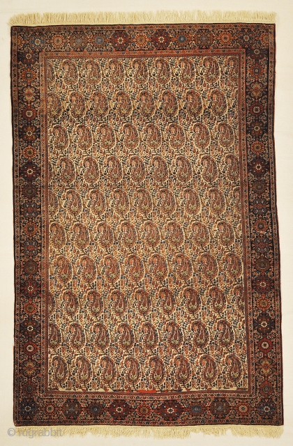 Fine Antique Sarouk Farahan Botteh with Rare Ivory Background Genuine Woven Carpet Art

4'3" x 6'4"                  