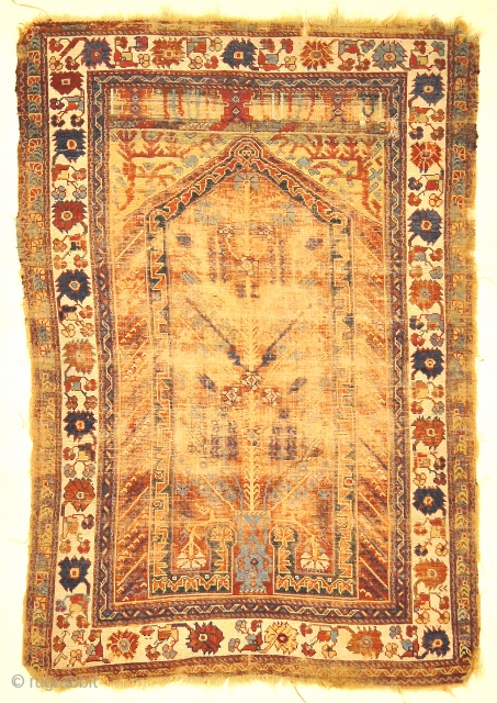 Rare Classical Milas Prayer Rug from Turkey  - Size: 3'7" x 5'2"                    