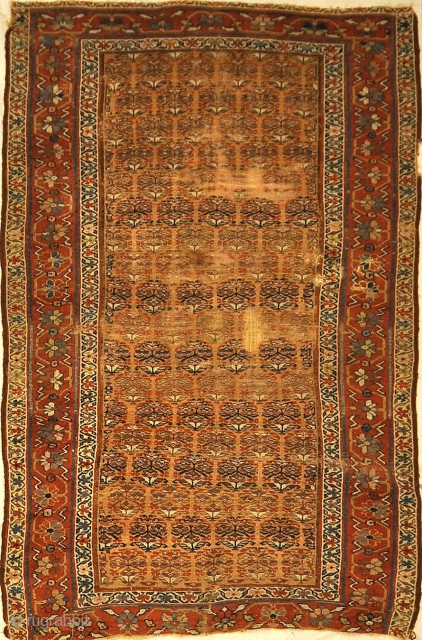 Antique Kurdish Rug ca 1880
4’4″ x 6’8″                          