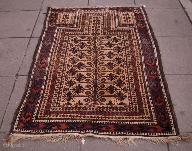 Belutsch, Prayer-rug, ca. 1900, 157 x 101 cm                         