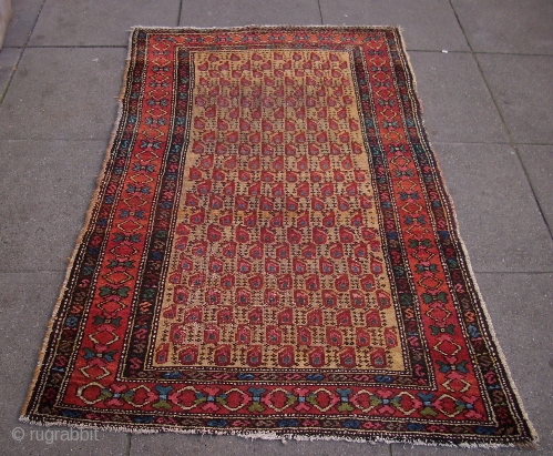 Hamadan, 19 Jh., 92 x 159 cm                          