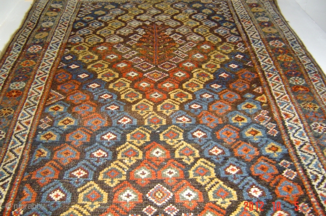 1930-40 kurdistan runner
Excellent condition
440cm x 124cm
pazyryk antique                          
