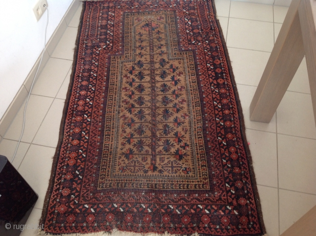 Baluch teymori
185cmx96cm                               