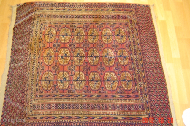 Antique turkmem/buchara
124cm x 112cm
pazyryk antique                            