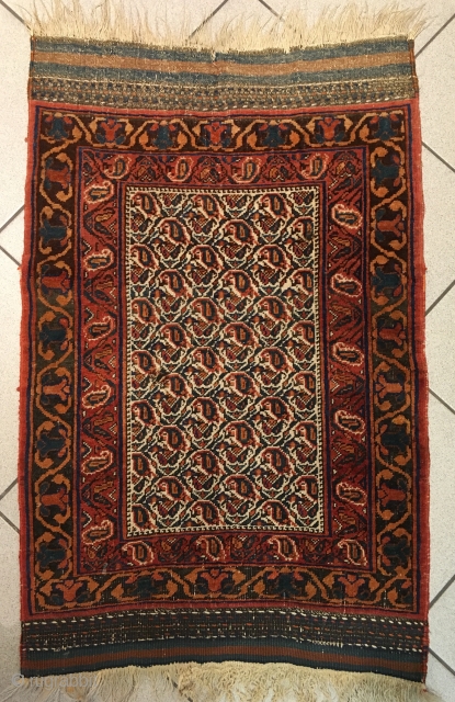 Small Afshar, size: 80x65cm                             