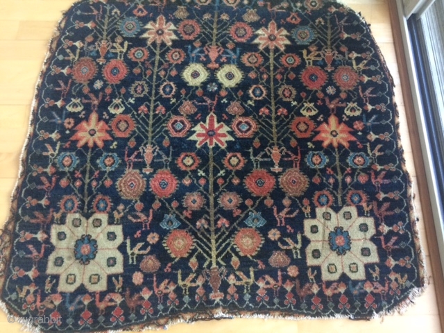 Antique Persian horse cover w/ more than 50 birds!
Unsure of origin. Senneh?
Glossy pile, saturated covers; needs a wash.
Around 36 in x 36 in.
 

         