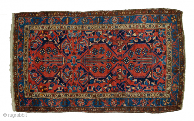 Remarkable antique Zanjan rug 196x117cm. In very good condition

More info: https://sharafiandco.com/product/antique-zanjan-rug-196x117cm/
                      