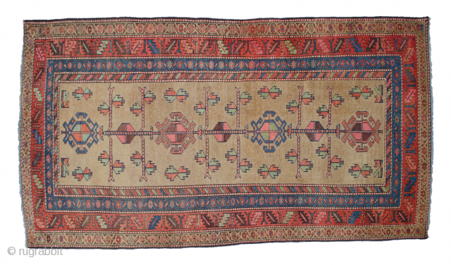 Striking antique Kordi rug from West of Iran. The very refined and good balance of colour in addition to its charming open design makes this piece special. The camel coloured background is  ...