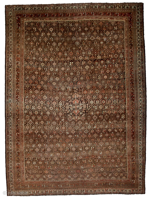 Antique Bakhtiar Hinegoon Carpet 495x360cm in good condition.                         