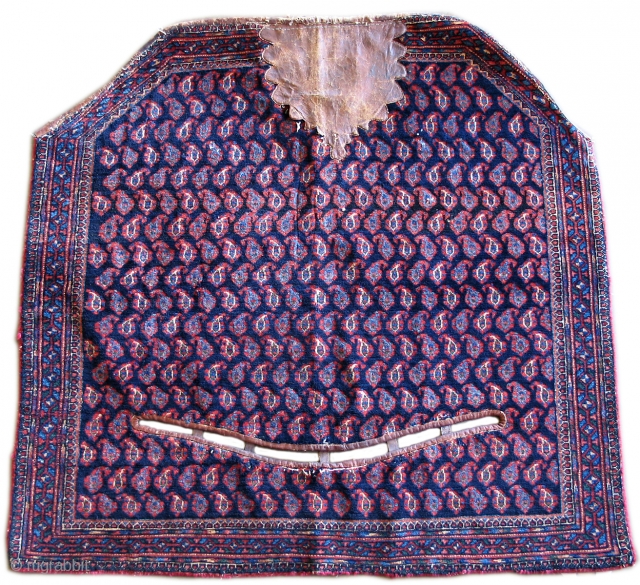 Afshar saddle cover with leather, backed with vinatge cotton broad cloth, late 19thC, 3'10"x3'7"
                   