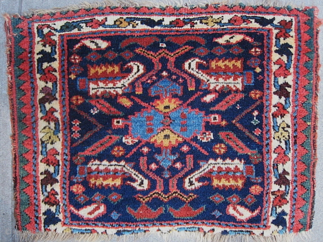 A Kurdish Bagface with Iridescent Light Blue Center                         