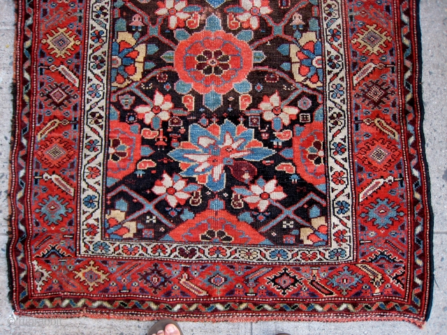 An Minakhani Kurdish Rug with messed up corner                         