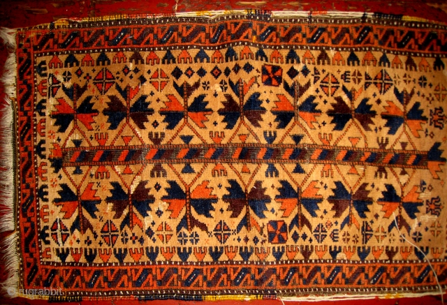 A Baluch Balisht                              