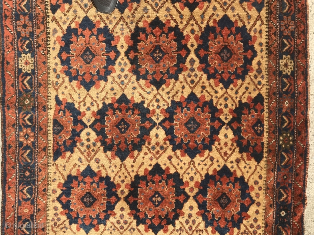 Afshar 4x6 on a soft camel ground. Turkic influenced. Great condition.                      