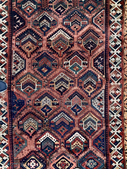 Early Sauj Bulak Kurd Rug. More details on request.                        