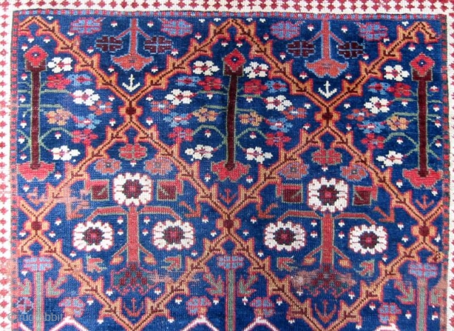 A Shrub Lattice Kurd Rug                            