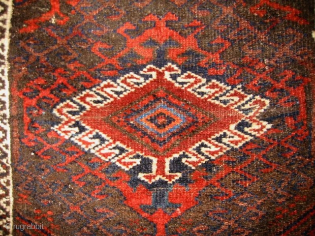 a medallion (on a Baluch rug)                           