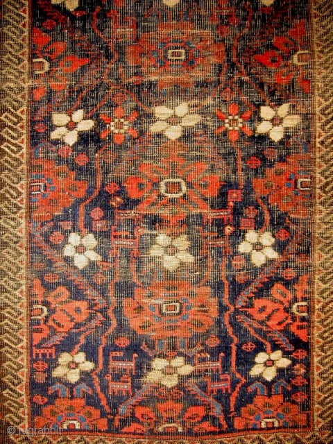 A Wiggly Minakhani Baluch Small Main Carpet                          