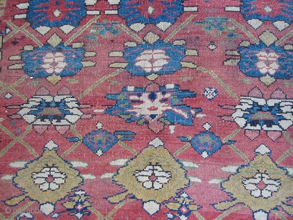 Small Kurd Minakhani Rug                             