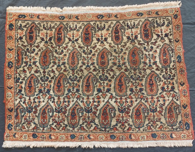 Antique,Paisley pattern, 45cm × 62cm
                            