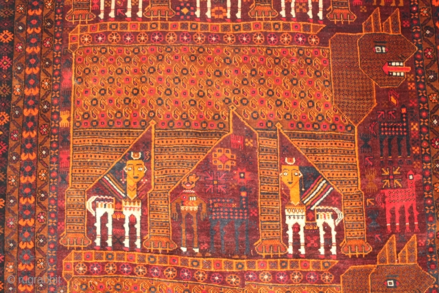   20th c Baluch Meshed district, northeast Iran
  330 cm x 170 cm wool on wool please contact via soulmatetextile@gmail.com           