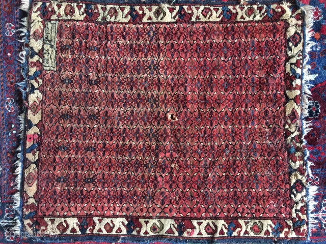 Small dated Kuba Seichur rare Design field and border size 90 cm x 70 cm original ends and sides Blue 4 ply selvedge field moth damage good drawing and color   