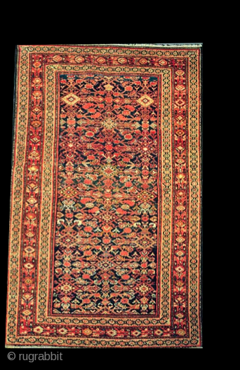 Malayer Antique rug 200 cm x 300 cm                         