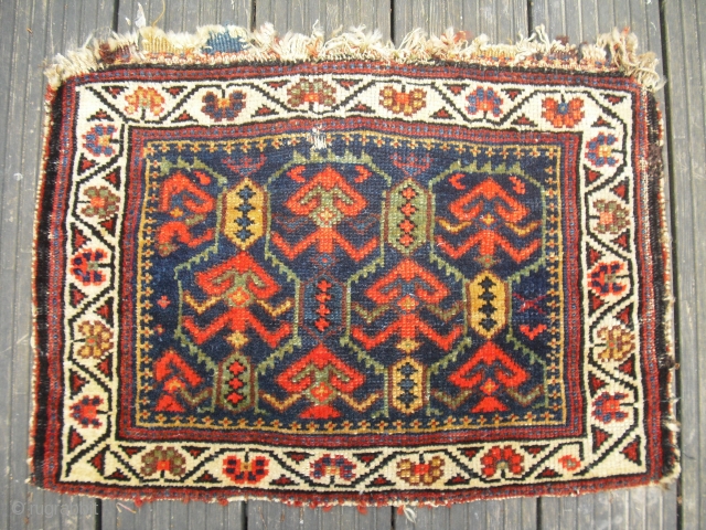 Old Caucasian or Northwest Persian bagface fragment - very soft and meaty wool                    