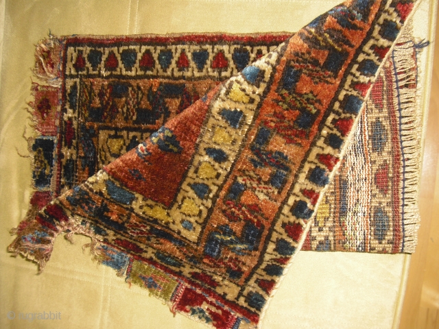 Kurdish Bagface fragment - probably I Qu. 20th - very soft and glossy wool - rare motif - shipping worldwide             