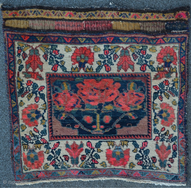 Lovely Afshar bagface with meaty floor, 67 x 65 cm                       