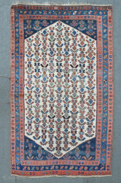 Antique Persian Kurdish Carpet, 222 x 128 cm, heavy, meaty floor, excellent colors                    