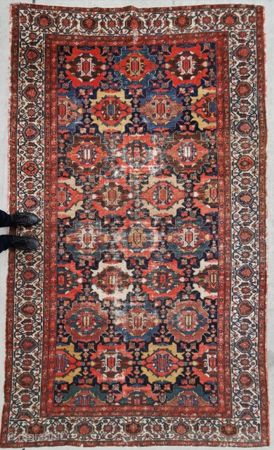 Exceptional antique Malayer, 352 x 208 cm                          