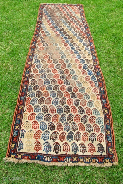 351-Boteh Shirvan runner. XIXth C. White/ivory ground. 100% wool. All natural colors. Needs repairs. 33 x 105 inches.               