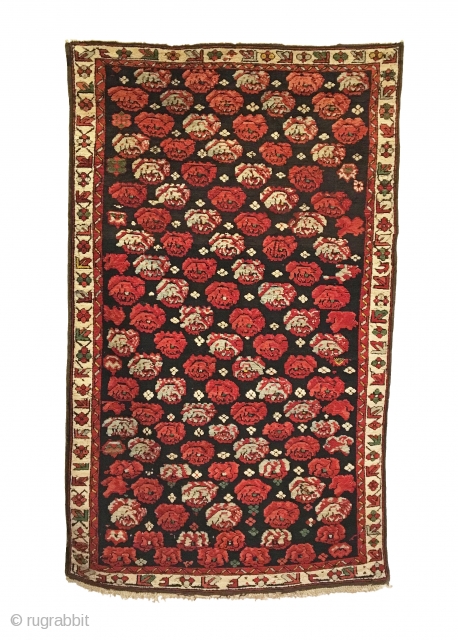 Antique Caucasian Seychour Cabbage Dowry Rug. 3rd Quarter 19th Century. Cabbage heads float on dark brown field. Attractive floral meander border accentuates the field design. All four sides original with macramé end  ...