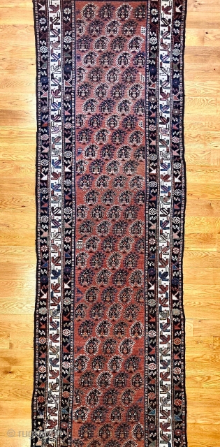 Antique Persian Veramin Boteh runner rug. Alternating diagonal pattern on a madder field. Missing 3 borders on bottom, made with 6 bold colors, and was given a museum-quality hand wash before being  ...