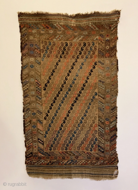 Antique Baluch Rug. Last quarter 19th Century. Alternating Botehs on Camel field. Strong colors throughout including light steel blue, turquoise, apricot and purple. Original condition with no repairs. 12 colors. 5’2” x  ...