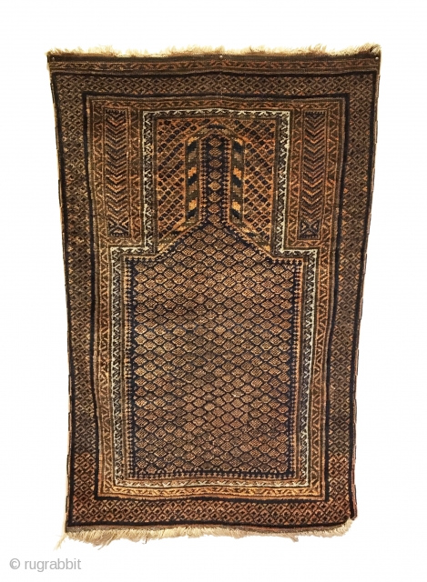 Antique Dokhtar-I-Ghazi Baluch Prayer Rug. Timuri Sub-tribe. Excellent condition considering age with two invisible repairs as shown. Original selvages. 4 colors. 2’7” x 4”1. Carefully hand washed.      