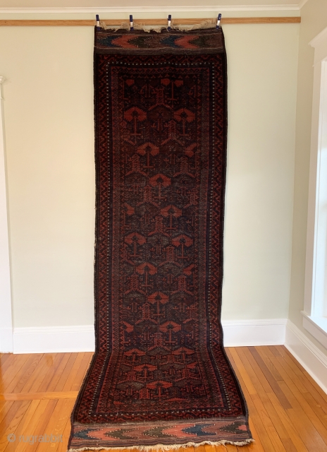 Antique Baluch Chakhansur Long Rug. Late 19th Century. Afghanistan. Rows of madder and undyed dark brown wool 'ashik' tree devices radiate a diagonal pattern. Dragon type totems are entwined. Excellent condition considering  ...