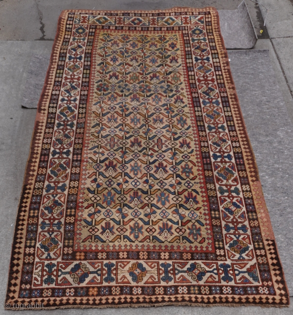 Antique Caucasian Talish Large Rug, 19th century, size is: 5'8" x 11'3"ft. or 173 x 343 cm.                