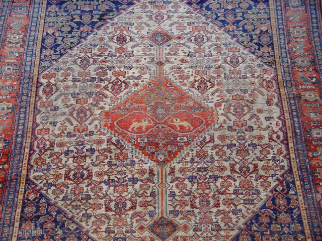 Antique Senneh rug ca. 1800s-1850s, size is 4'6" x 6'6" ft. wool on wool with liones , very good condition, professionally hand washed, no wears. 

       