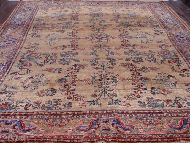 Antique Persian rug Bijar , 9'2" x 12'2" circa 1860, 100% wool pile and warp and weft , very good condition , no repairs,  no touch up, no odor, has been  ...