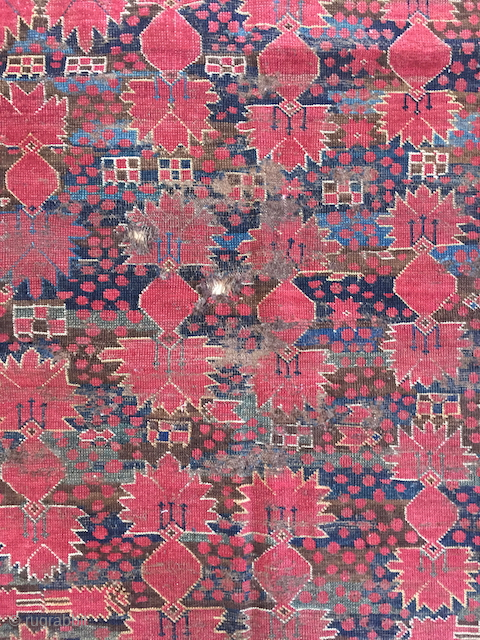 Beshir large fragment                              