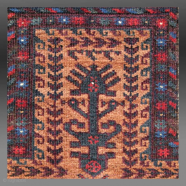 Baluch Prayer Rug, NE Persia (Khorassan), late 19th Century, 3’ x 5’ 9”

For further images as well as a complete description of this rug, please go to the following link

http://www.tcoletribalrugs.com/resources/11-24-11%20copy/Baluch%20Prayer%20Rug.html
   