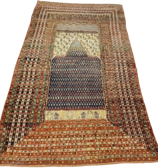 Unusual Antique Ghiordes Rug - 19th Century (227x138cm)


WhatsApp: +32465752377
E-mail: timeless.rugz@gmail.com                       