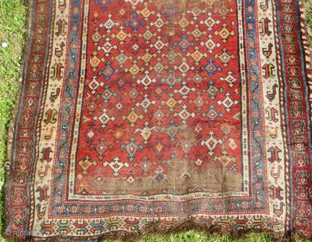 Unusual Persian tribal rug, mid-19th century. 47 x 82. Not sure of origin, possibly Khamseh region  Shawsavan. All natural colors. With visible wear. Great border design with birds.    