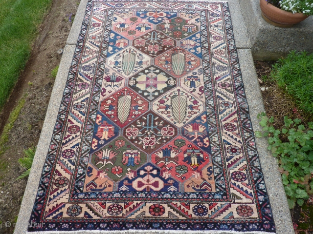 Strange old Bakhtiari garden rug with very funky transitional dyes: 54" x 80"

SOLD.                    