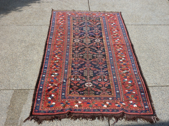 9'6" x 5'3"  spots of wear and generally low pile but a charming rug.                  