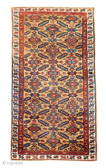 Gorgeous, antique Camel Hair Hashtood rug from NW of Persia, wonderful old design in great condition. good pile and good age. size is 6'-10"x3'-5"         